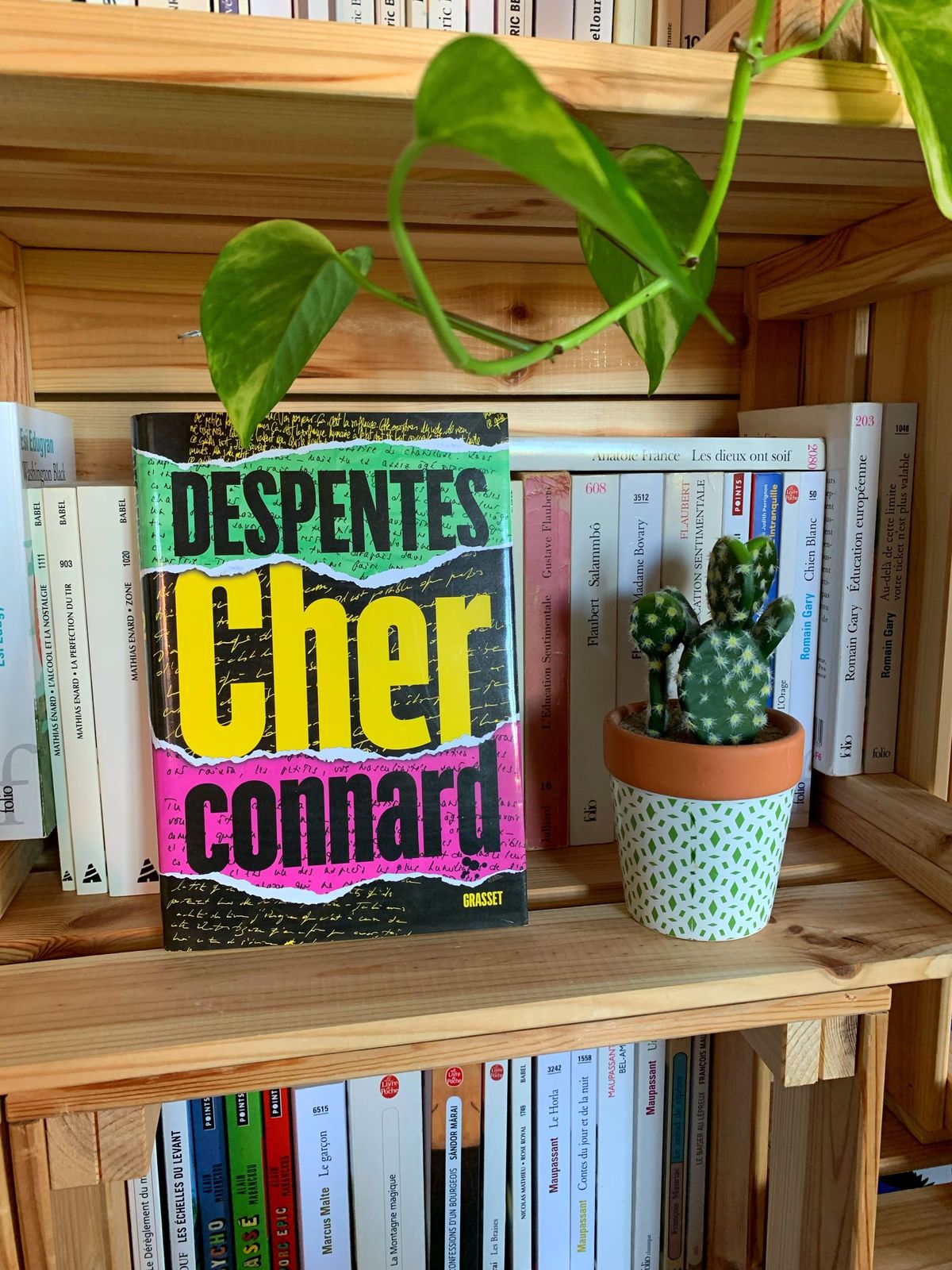 Cher connard – Virginie Despentes (2022)