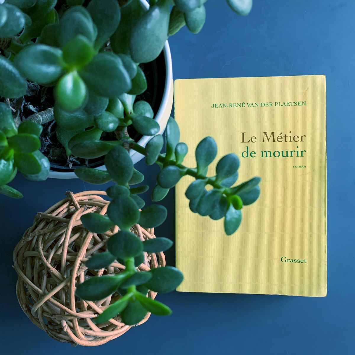 Le Métier de mourir – Jean-René Van der Plaesten (2020)