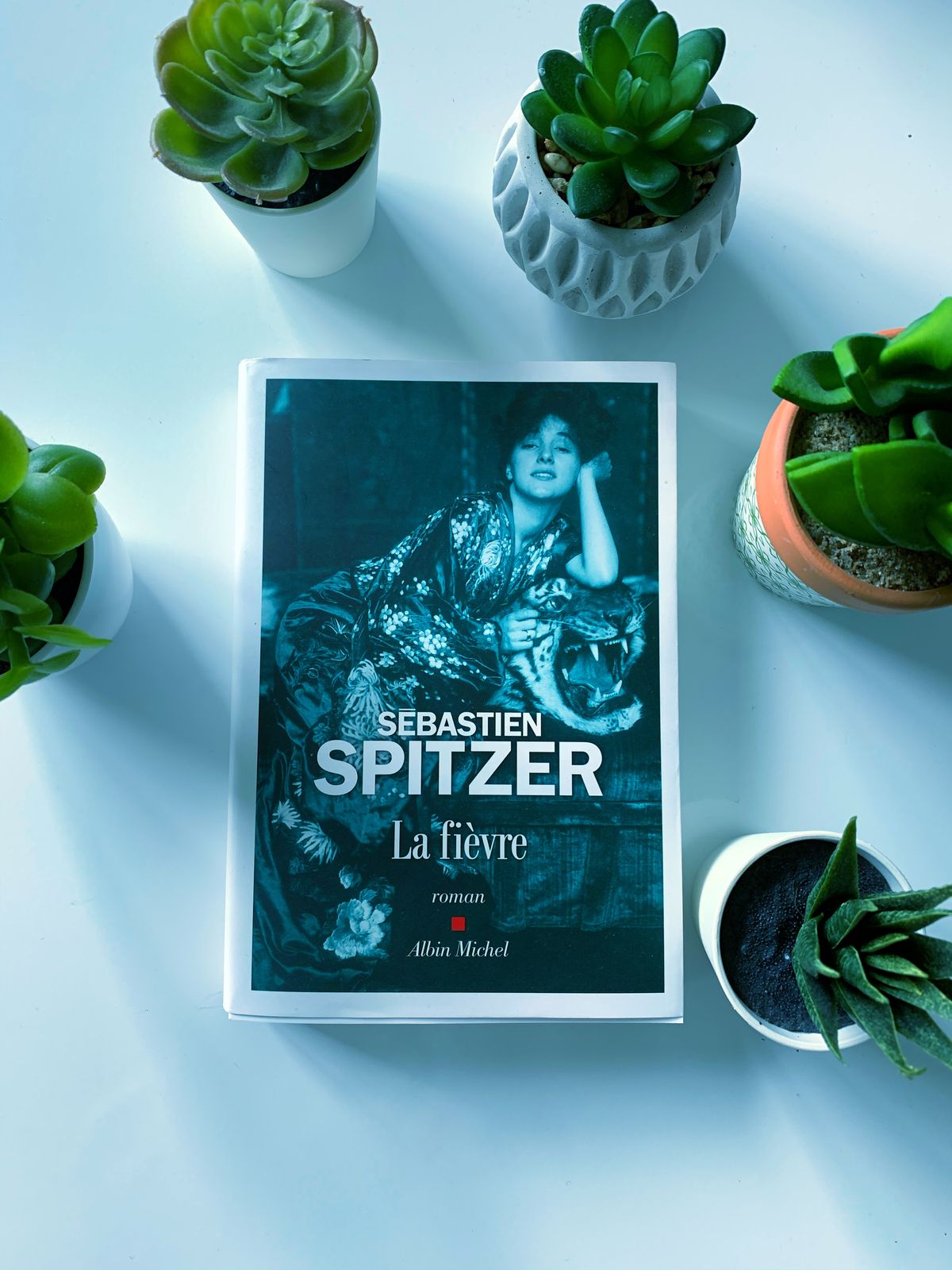 La fièvre – Sébastien Spitzer (2020)