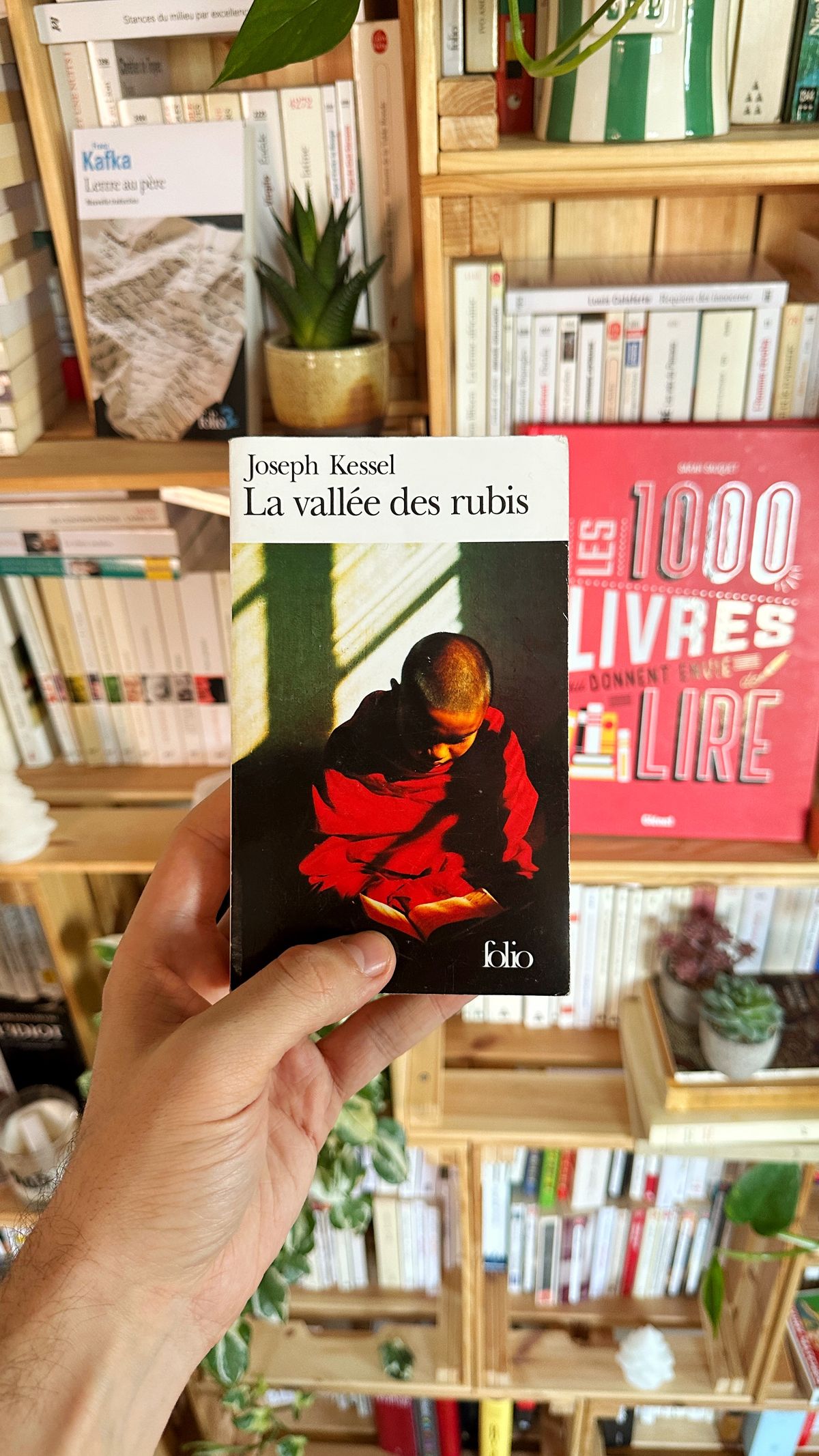 La vallée des rubis – Joseph Kessel (1955)