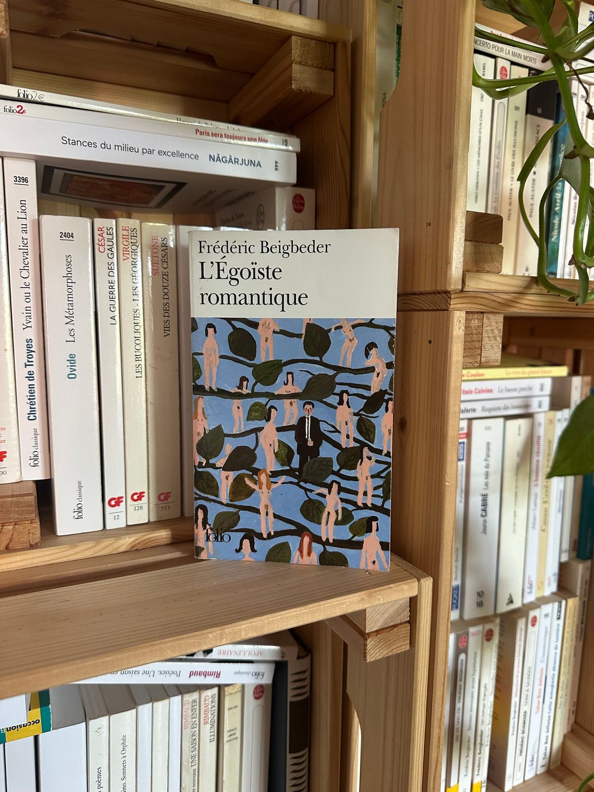 L’Égoïste romantique – Frédéric Beigbeder (2017)