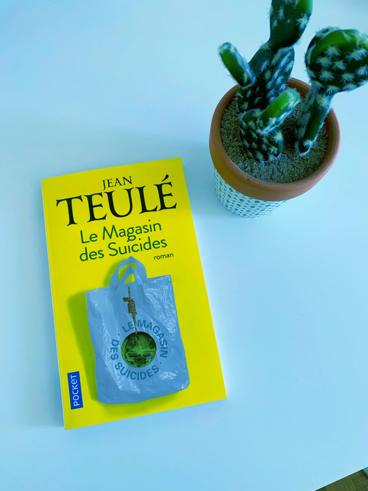 Le Magasin des Suicides – Jean Teulé (2008)