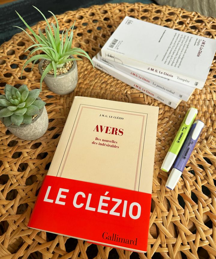 Avers, Des nouvelles des indésirables – J.M.G. Le Clézio (2023)